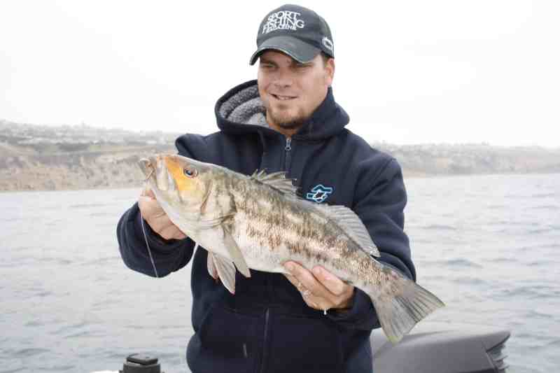 New Bass Limits Irk Some Anglers, Please Others New Bass Limits Irk Some Anglers, Please Others