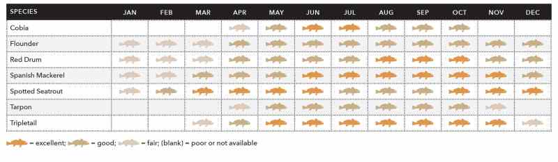 Cedar Key species chart