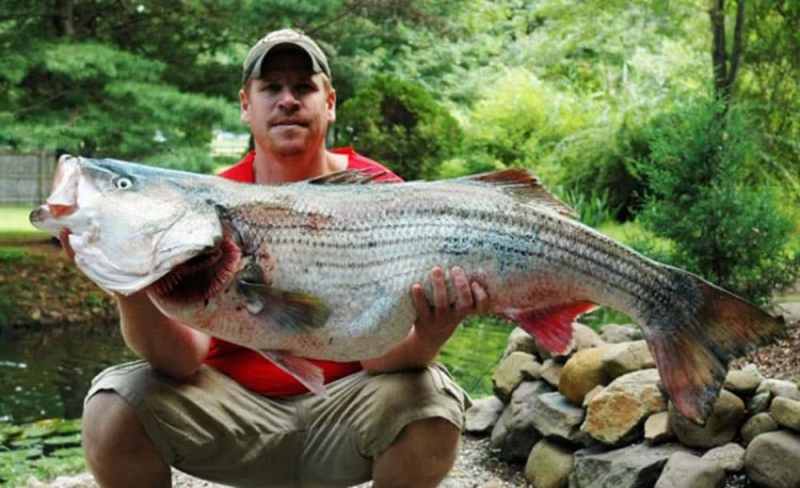 Record Striper best of 2011_21.jpg
