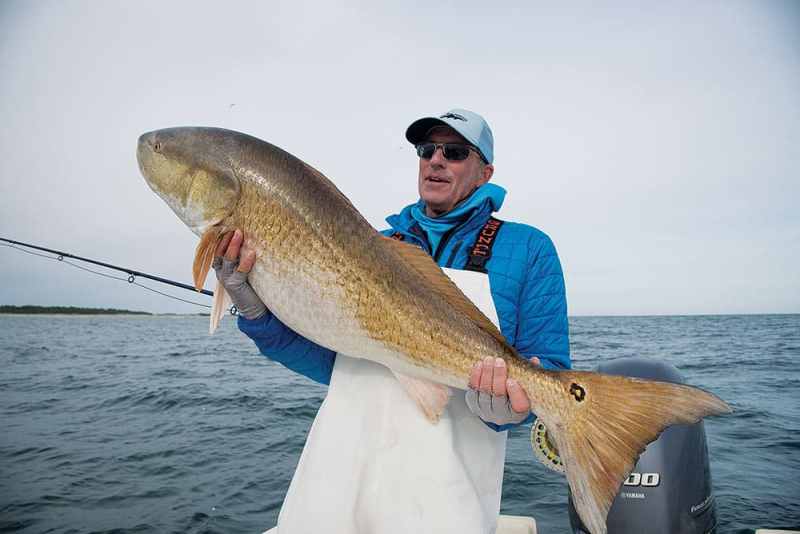 Angler holding big bull red fish caught fly fishing North Carolina