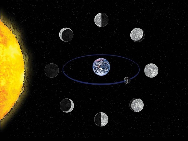 Lunar Lexicon How Moon Phase Affects Fishing Success