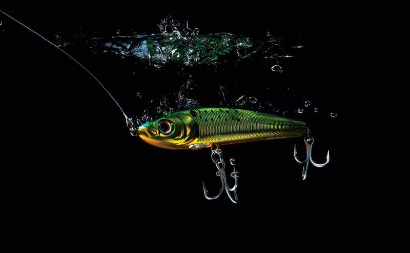 Swimbait attached to leader