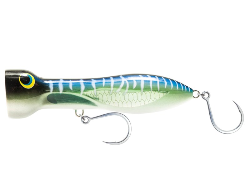 Nomad Chug Norris 6-inch popper for jack crevalle