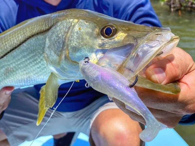 Z-Man-Herculez-snook Z-Man HerculeZ lure