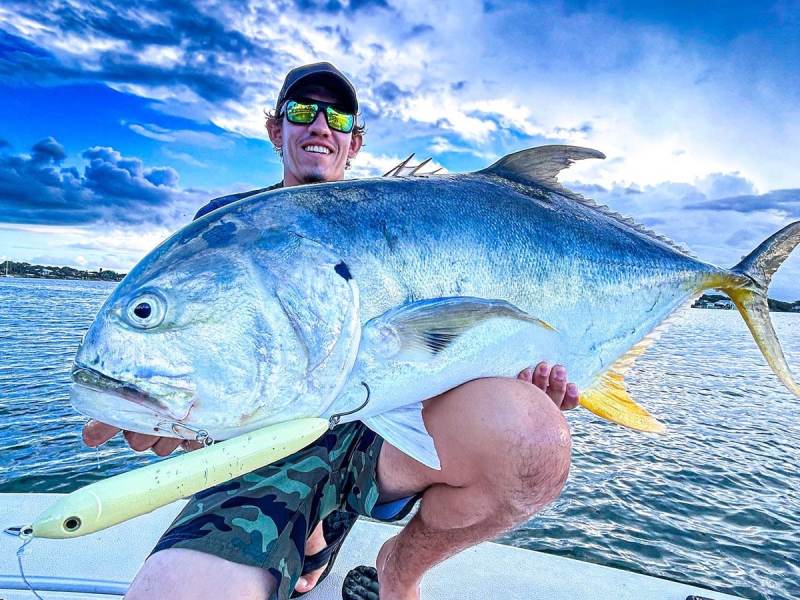 jack-crevalle-topwater jack crevalle on topwater