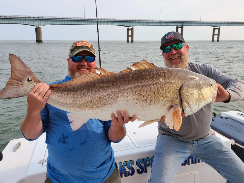 Chesapeake-bridge-redfish Chesapeake Bay bridge red drum