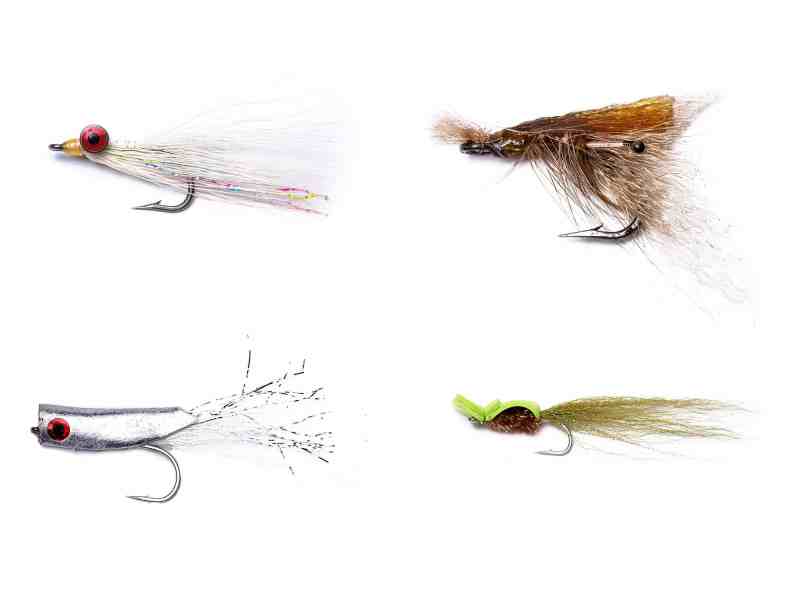 SPF0623-Skinny-Flies-Collection Backwater flies collection