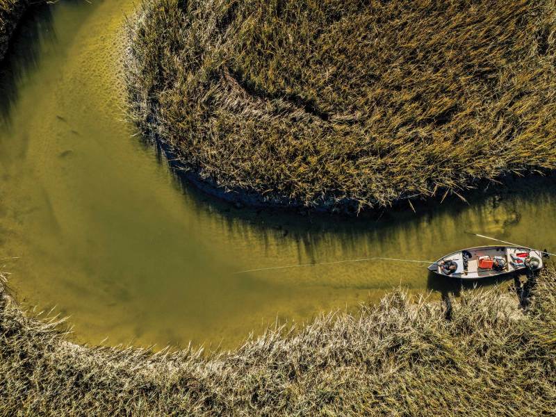 SPF0623-Skinny-History Anglers fly-fishing backwater