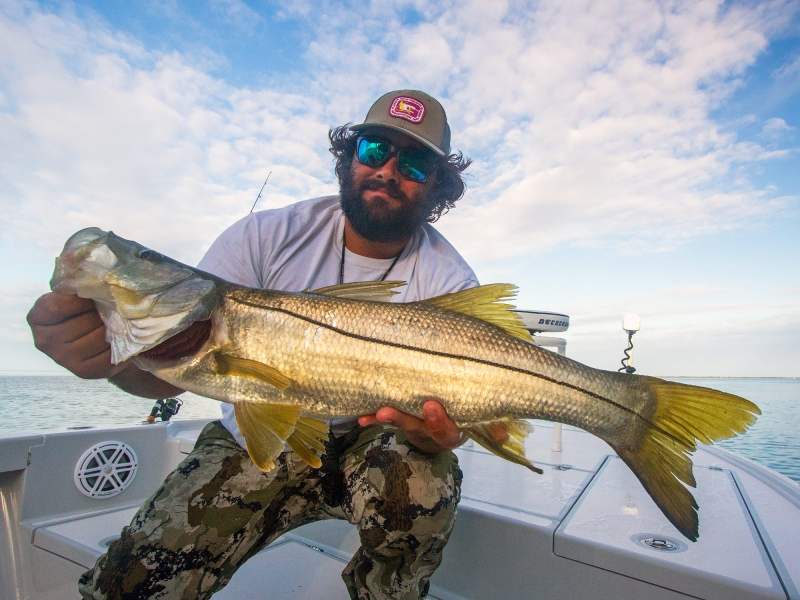 Everglades-snook Flamingo Everglades snook
