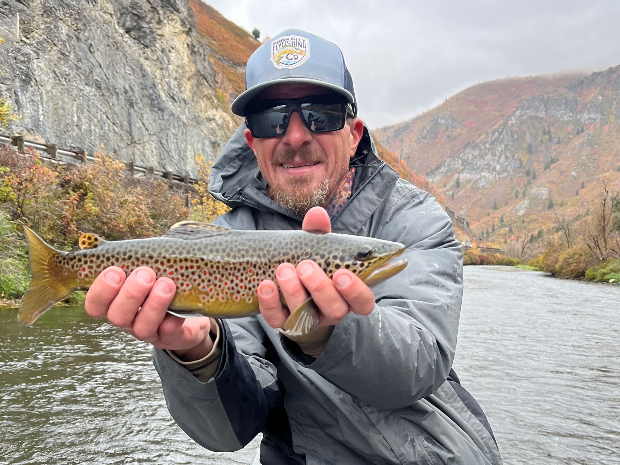 First Time Fly Fishing for Brown Trout | Sport Fishing Mag