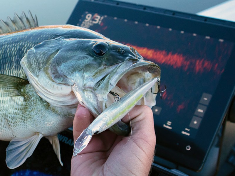 Berkley-FFS-lures largemouth bass caught with forward facing sonar