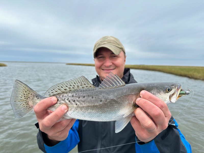louisiana-seatrout speckled trout from Louisiana