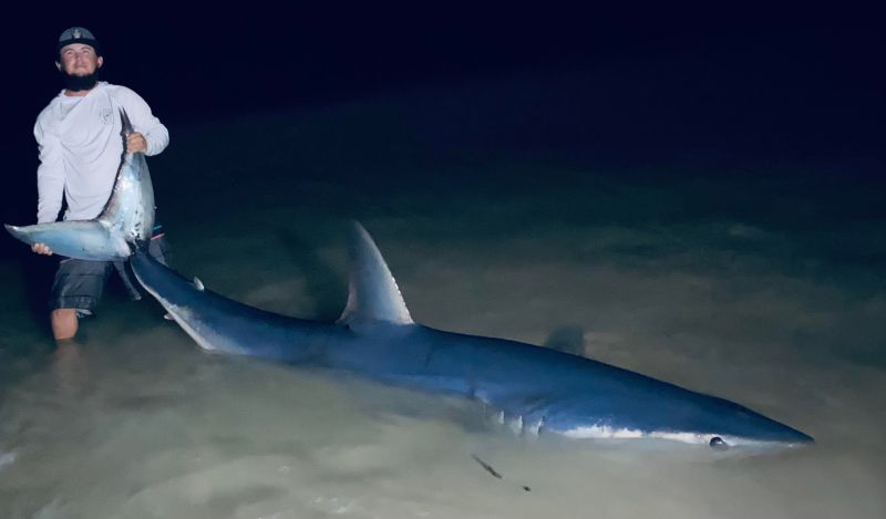 beach mako travis lucas 3 shortfin mako shark caught on Florida beach