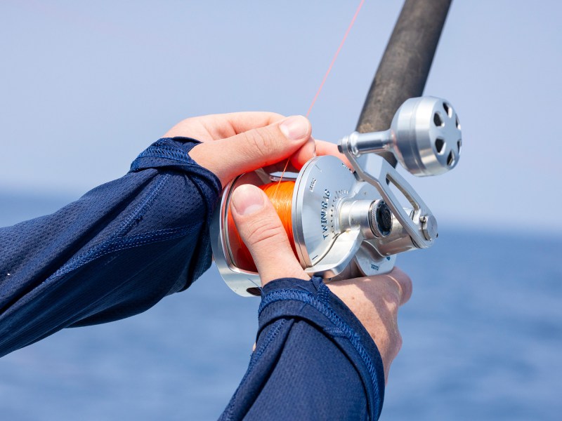 sailfish-mono Dropping back a ballyhoo to a sailfish