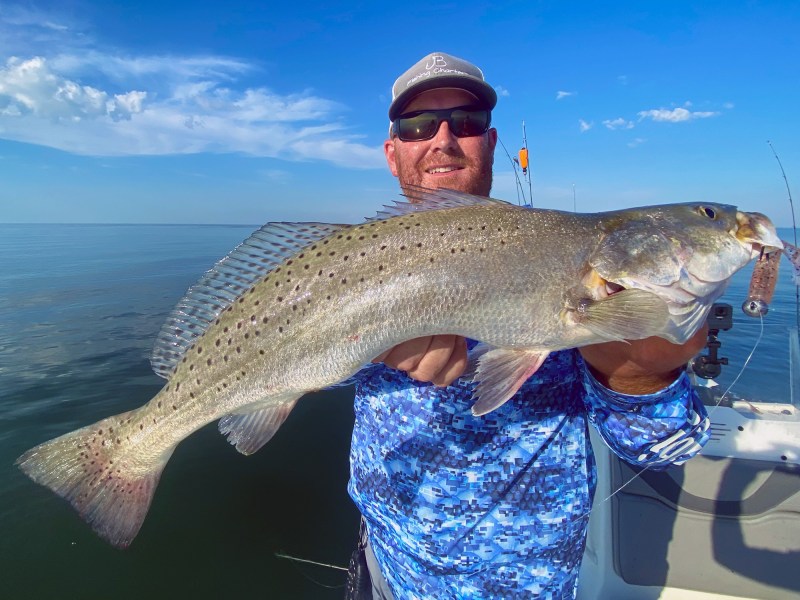 chandeleur-islands-trout A speckled trout from the Chandeleur Islands