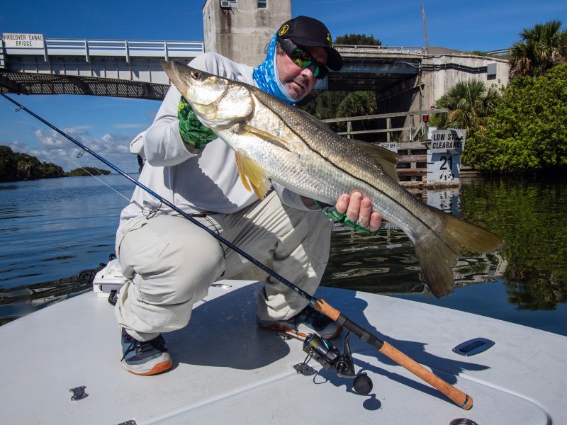 bridge-snook-Florida Florida snook fishing