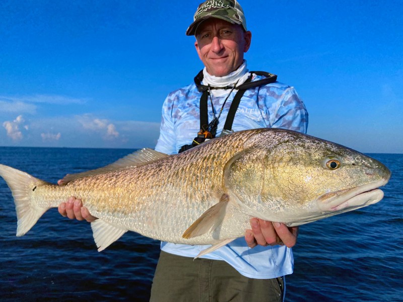 Louisiana-bull-red-drum Catching bull red drum in Louisiana