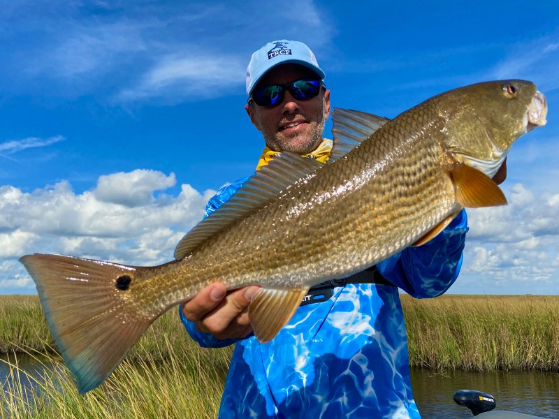 louisiana-redfish-marsh Louisiana redfish