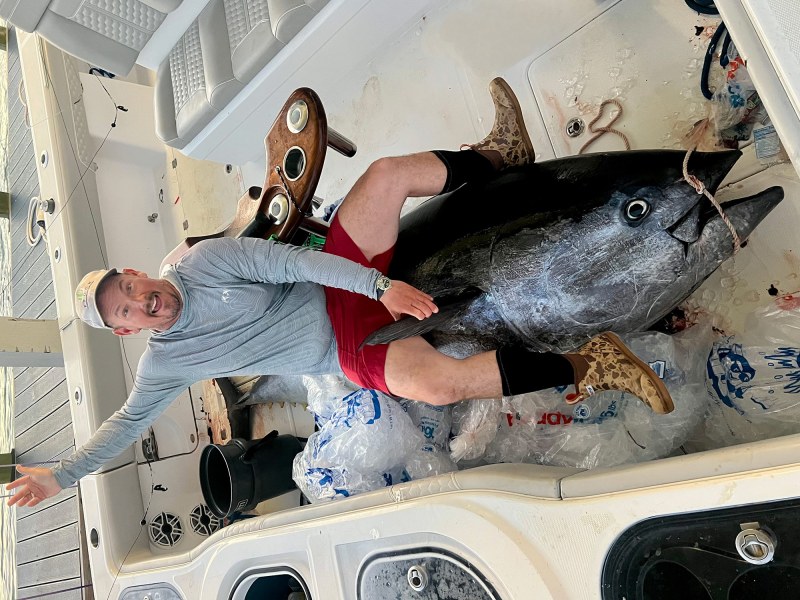 gulf-bluefin-opener Gulf bluefin tuna