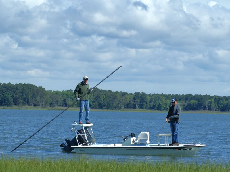 Maryland_flats_lead Poling a skiff on the Maryland coast.