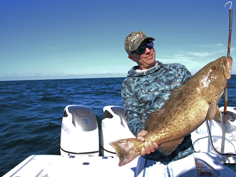 Gag grouper