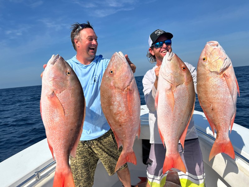 Four_mutton_snapper_lead Florida Keys mutton snapper