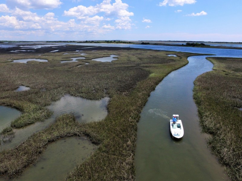 Mauser_DJI_0008 Winter in the North Carolina marsh.