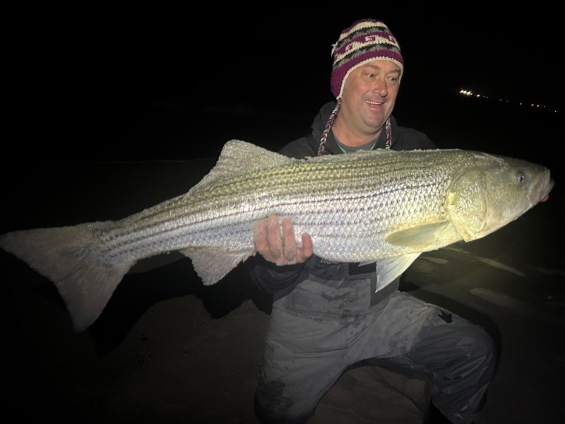 Night_Striper_lead Nighttime striped bass New Jersey