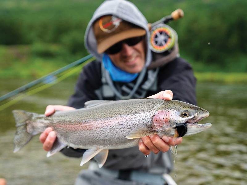 Rainbow trout caught in Alaska
