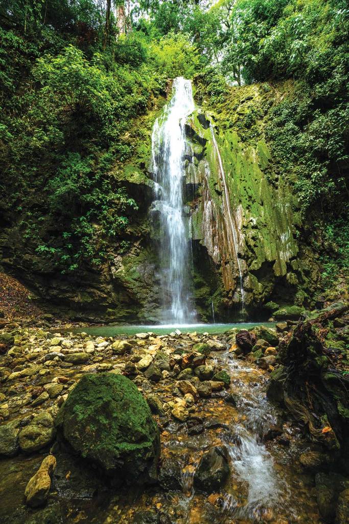 Rainforest in Costa Rica