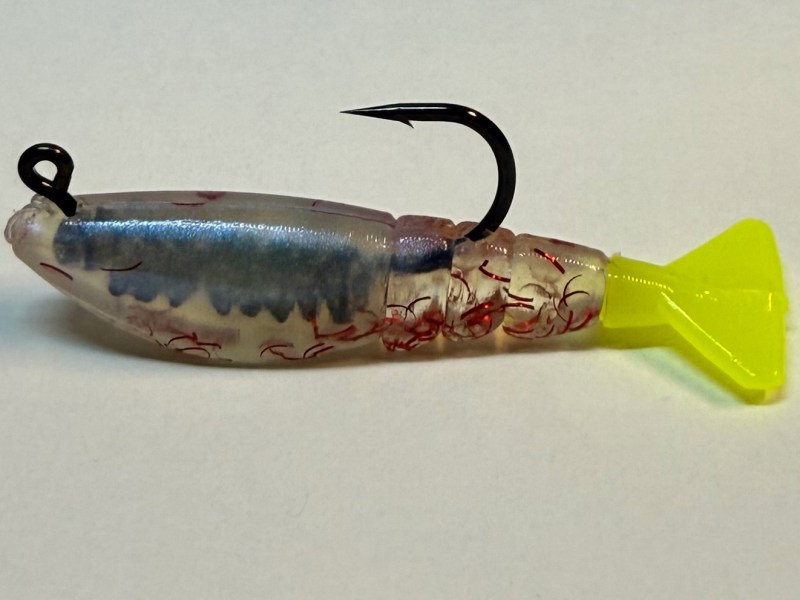 Four Horseman Shrimp