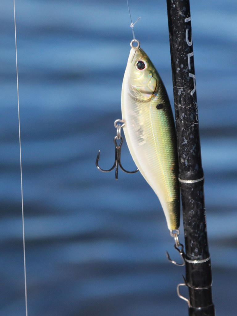 Berkley Stick Shadd Saltwater seatrout lure