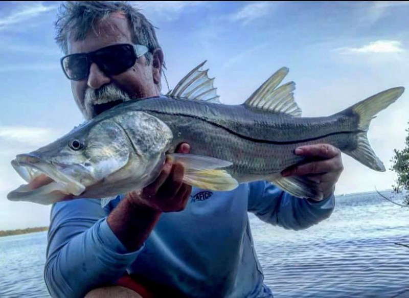 snook