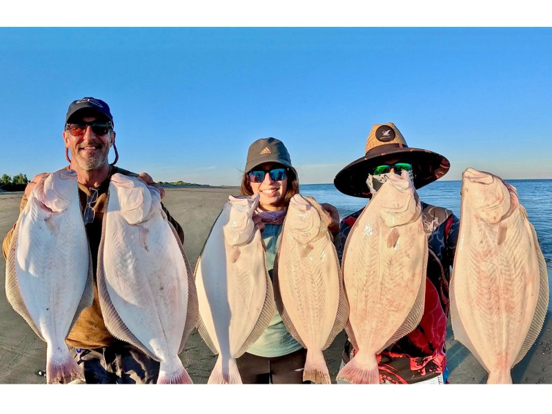 Pacific halibut.