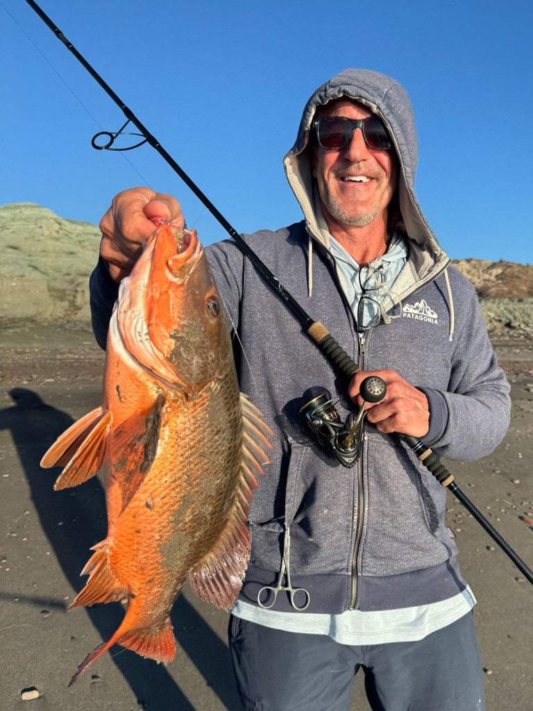 Pacific snapper