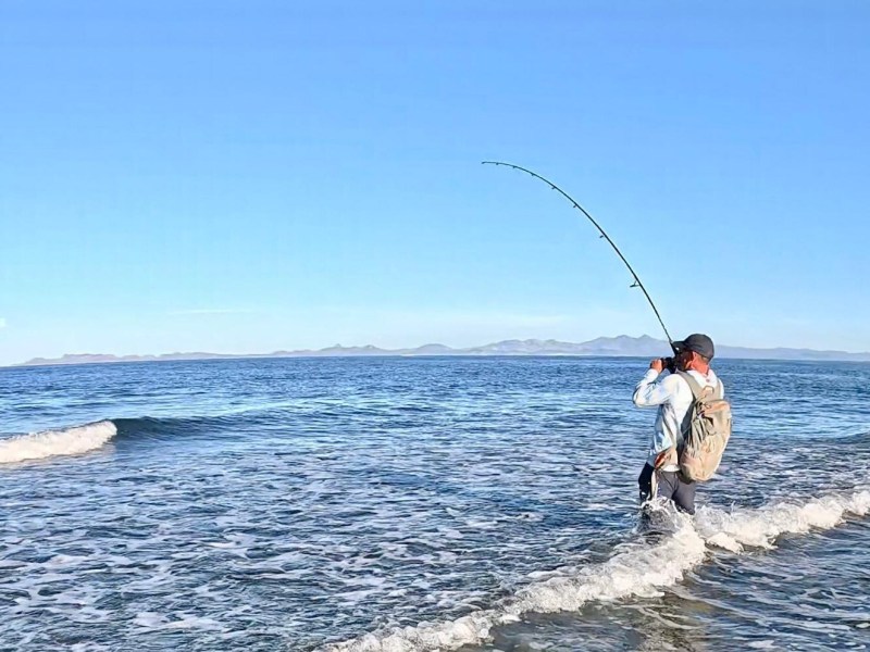 Surf Surf fishing Baja California Sur.