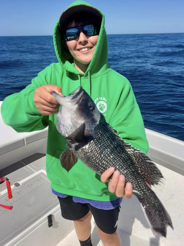 black sea bass